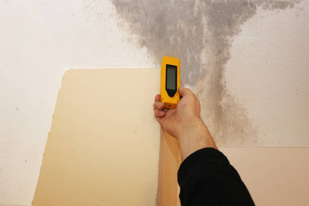 Best Mold Prevention Services  in Greenacres, FL