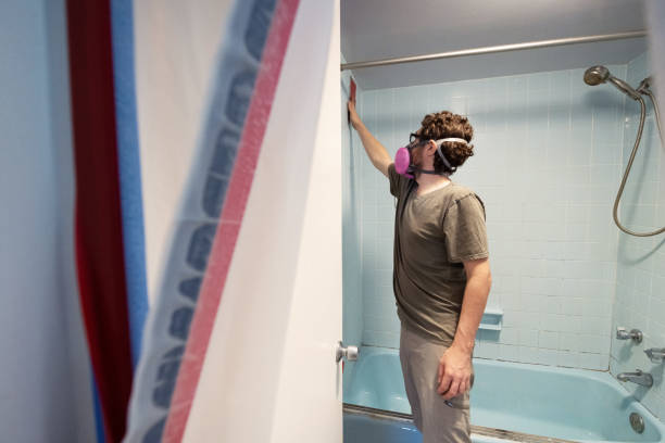 Best Basement Mold Removal  in Greenacres, FL