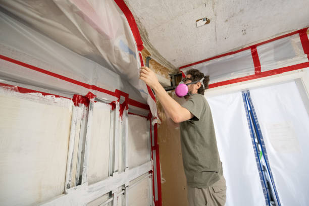 Best Mold Documentation for Insurance Claims  in Greenacres, FL