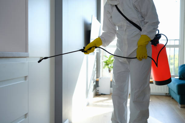 Best Airborne Mold Testing  in Greenacres, FL