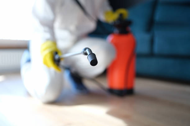 Best Real Estate Mold Inspection  in Greenacres, FL