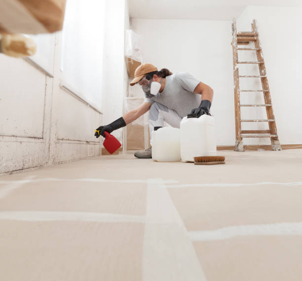 Environmental Consulting for Mold Prevention in Greenacres, FL